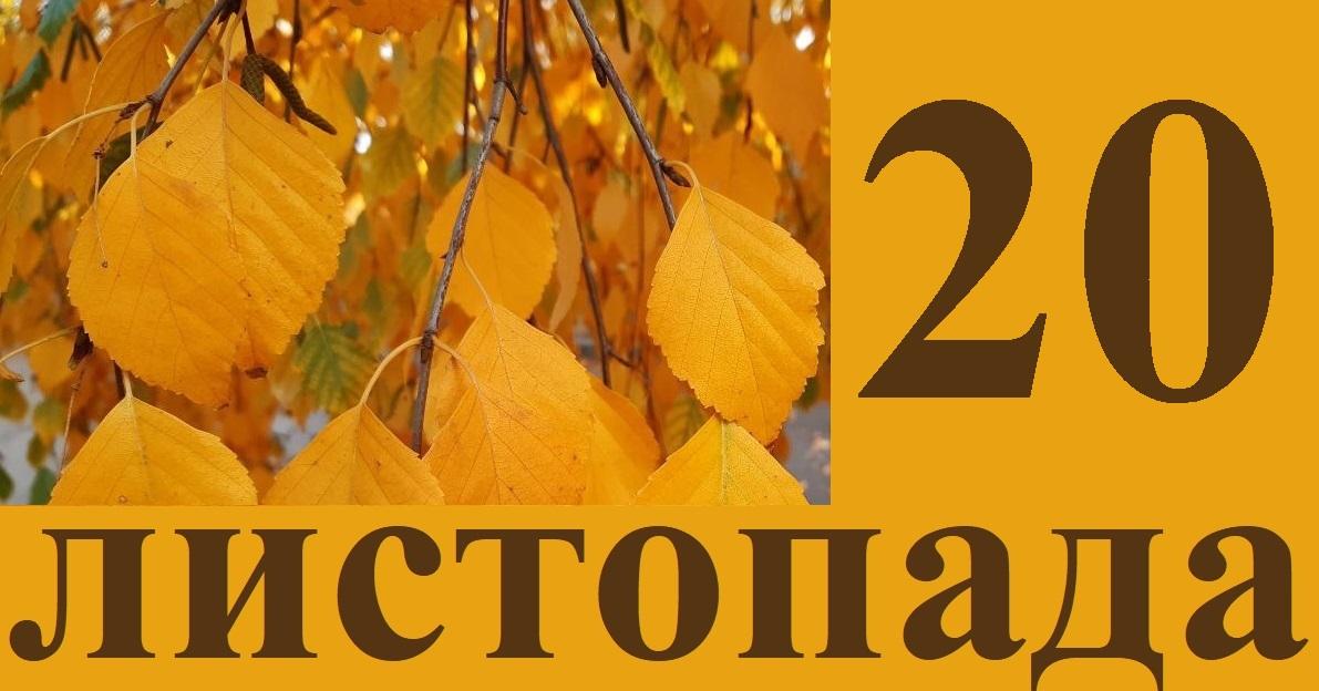 Сьогодні 20 листопада: яке свято та які події сталися в історії цього дня.