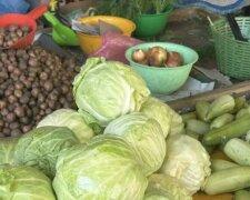 Prices for basic vegetables are rising, and experts predict further increases in costs.